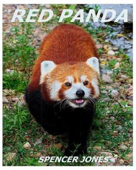 Paperback Red Panda: Learn About Red Pandas-Amazing Pictures & Fun Facts Book