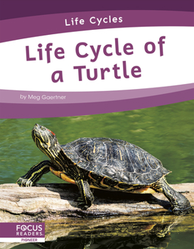 Paperback Life Cycle of a Turtle Book