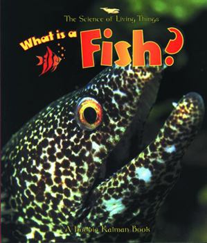 Library Binding What Is a Fish? Book
