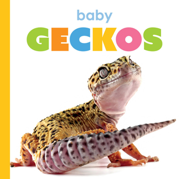 Paperback Baby Geckos Book