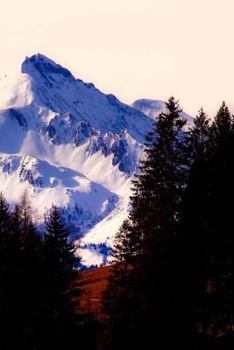 Paperback Austria Notebook Book