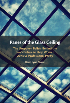 Hardcover Panes of the Glass Ceiling: The Unspoken Beliefs Behind the Law's Failure to Help Women Achieve Professional Parity Book