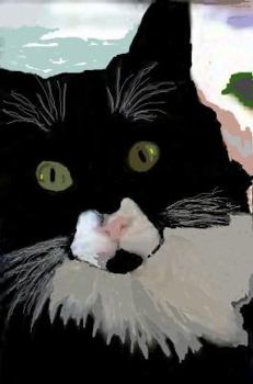 Paperback Calley's Place: Tales of a Different Cat Book
