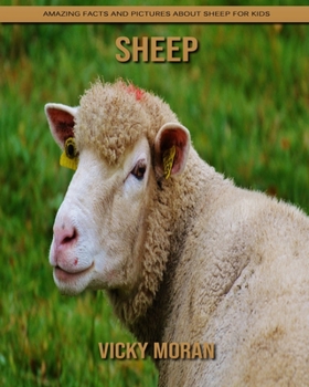 Paperback Sheep: Amazing Facts and Pictures about Sheep for Kids Book