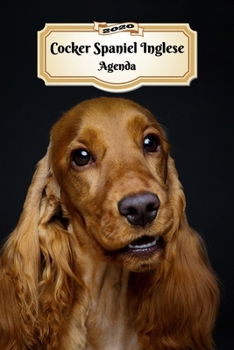2020 Cocker Spaniel Inglese Agenda: 107 Pagine | Dimensioni DIN A5 | Pianificatore Settimanale | 12 Mesi | Due Pagine Per Settimana | Calendario | Diario | Cane (Italian Edition)