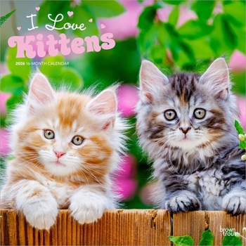 I Love Kittens 2026 12 X 24 Inch (Hanging) Monthly Square Wall Calendar Plastic-Free