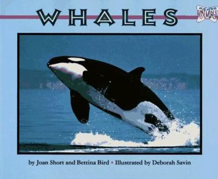 Paperback Whales Book