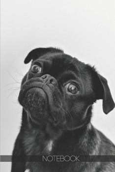 Paperback Notebook: Adult Black Pug [110 pages]: Adult Black Pug Book