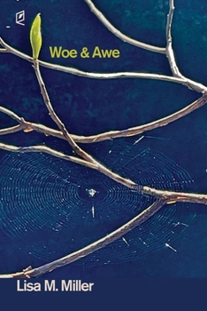 Paperback Woe & Awe Book