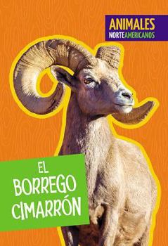 Library Binding El Borrego Cimarrón [Spanish] Book