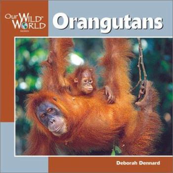 Paperback Orangutans Book