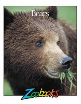 Hardcover Bears Book