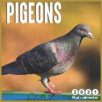 Wall Calendar 2021 Pigeons: 16 Months calendar 2021, Cute Birds Calendar 2021