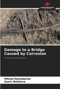 Paperback Damage to a Bridge Caused by Corrosion Book