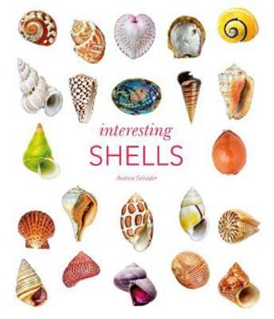 Hardcover Interesting Shells Book