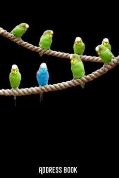 Adress book: Phone & contact book budgie: All contacts at a glance - 120 pages in alphabetical order / size 6x9