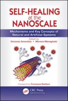 Hardcover Self-Healing at the Nanoscale: Mechanisms and Key Concepts of Natural and Artificial Systems Book