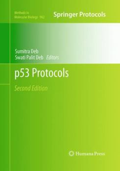 Paperback P53 Protocols Book