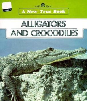 Paperback Alligators and Crocodiles Book