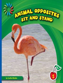 Sit and Stand - Book  of the Animal Opposites