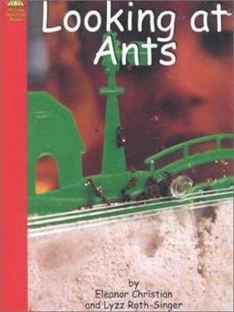 Looking at Ants (Yellow Umbrella Books) - Book  of the Yellow Umbrella Books: Science