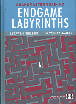 Hardcover Endgame Labyrinths Book
