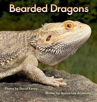 Hardcover Bearded Dragons Book