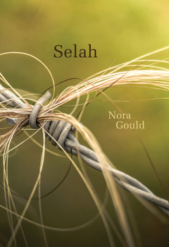 Paperback Selah Book