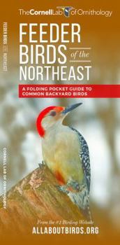 Pamphlet Feeder Birds of the Northeast: A Folding Pocket Guide to Common Backyard Birds Book