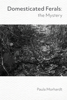 Domesticated Ferals: The Mystery