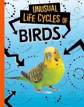 Unusual Life Cycles of Birds