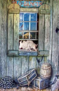 Paperback Journal: Cat Lives Here: Lined Journal, 120 Pages, 5.5 x 8.5, Cat Journal, Notebook, Diary, Soft Cover, Matte Finish Book