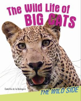 Paperback The Wild Life of Big Cats Book