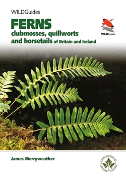 Paperback Ferns: Clubmosses, Quillworts and Horsetails of Britain and Ireland Book