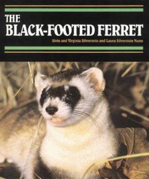 Library Binding The Black-Footed Ferret Book