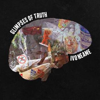 Vinyl Glimpses Of Truth Book
