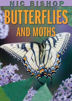 Hardcover Nic Bishop: Butterflies and Moths Book