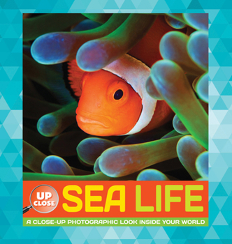 Hardcover Sea Life: A Close-Up Photographic Look Inside Your World Book