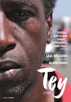 DVD Tey Book