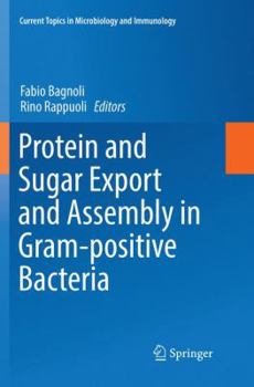 Paperback Protein and Sugar Export and Assembly in Gram-Positive Bacteria Book