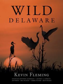 Hardcover Wild Delaware Book