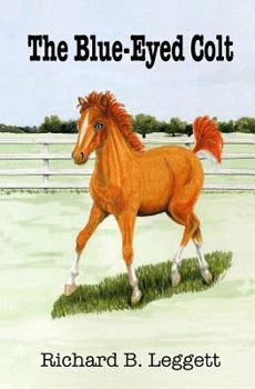 Paperback The Blue-Eyed Colt Book