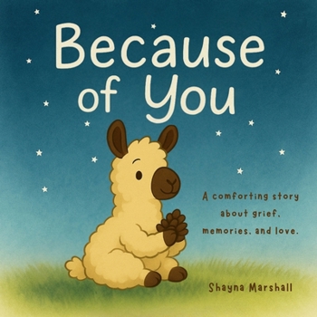Paperback Because of You Book