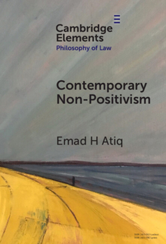 Hardcover Contemporary Non-Positivism Book