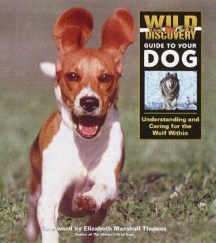 Hardcover Wild Discovery Guide to Your Dog: Understanding and Caring for the Wolf Within Book