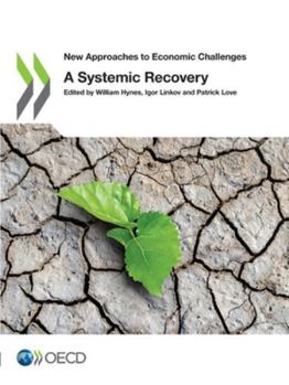 Paperback A Systemic Recovery Book