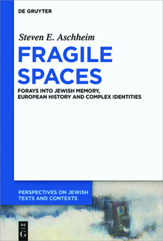 Paperback Fragile Spaces: Forays Into Jewish Memory, European History and Complex Identities Book