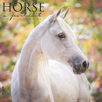Calendar Horse: A Portrait 2020 Wall Calendar Book