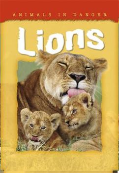 Paperback Animals in Danger: Lions Book