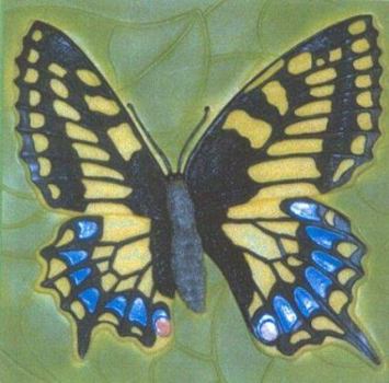 Hardcover Busy, Busy Butterfly Book